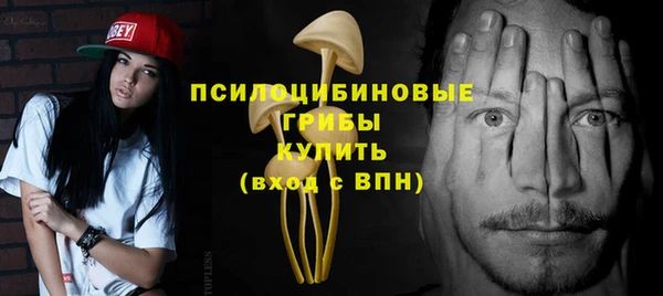 индика Армянск