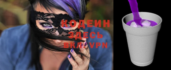 индика Армянск