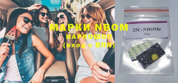 индика Армянск