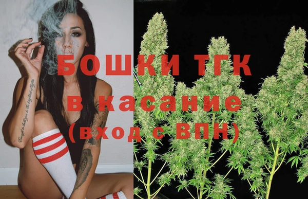 ешки Арсеньев