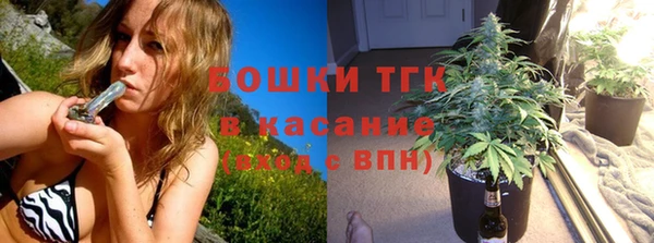 ешки Арсеньев
