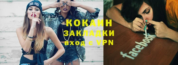 индика Армянск